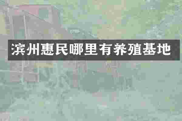 滨州惠民哪里有养殖基地