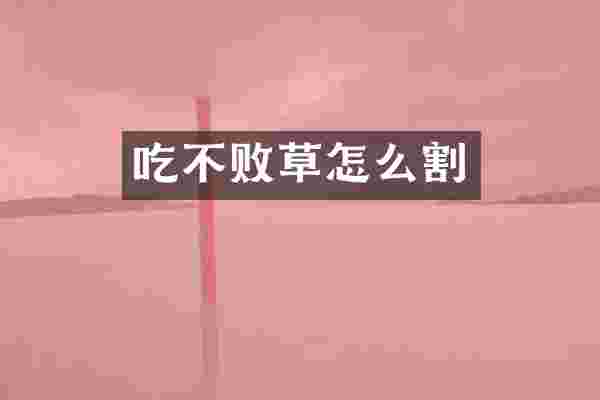吃不败草怎么割