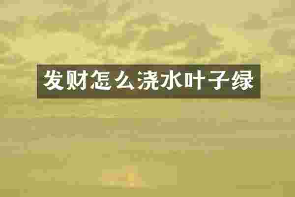 发财怎么浇水叶子绿
