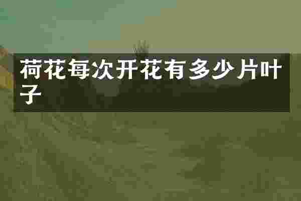荷花每次开花有多少片叶子