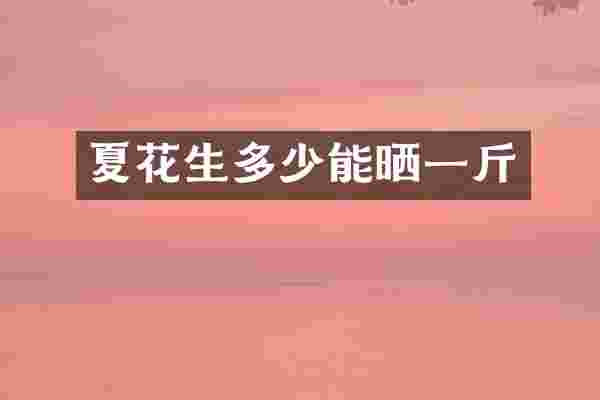 夏花生多少能晒一斤