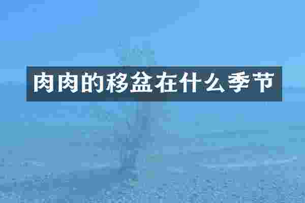 肉肉的移盆在什么季节