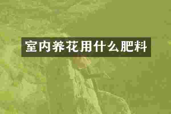 室内养花用什么肥料