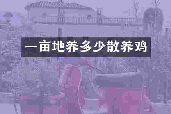 一亩地养多少散养鸡