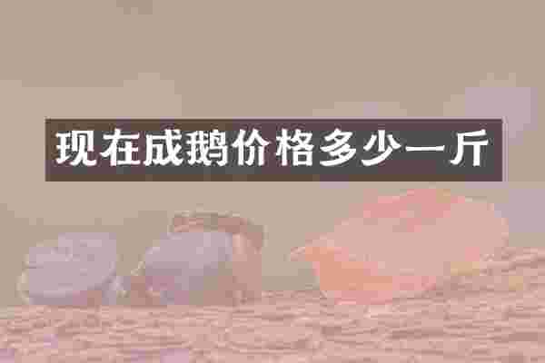 现在成鹅价格多少一斤