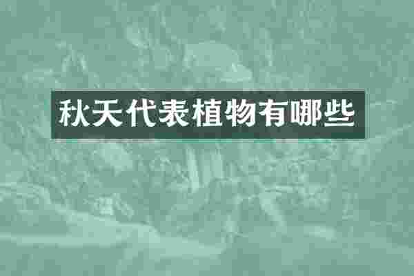 秋天代表植物有哪些