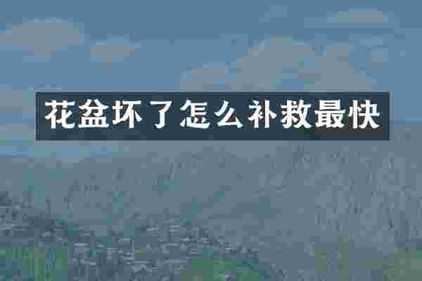 花盆坏了怎么补救最快