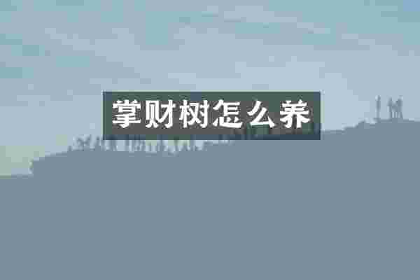 掌财树怎么养