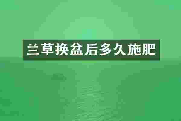 兰草换盆后多久施肥