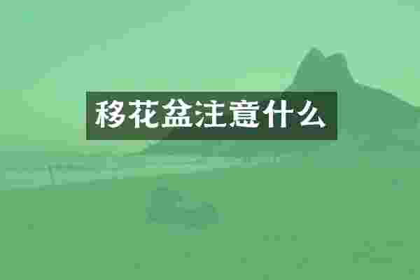 移花盆注意什么