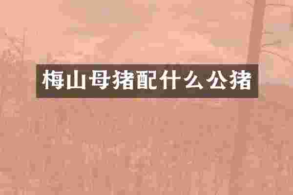 梅山母猪配什么公猪