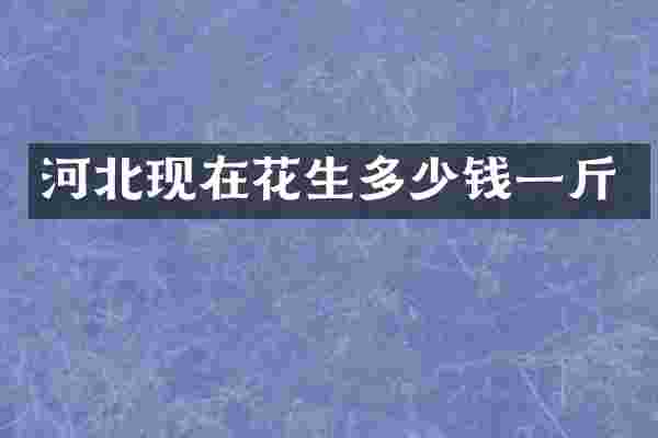 河北现在花生多少钱一斤