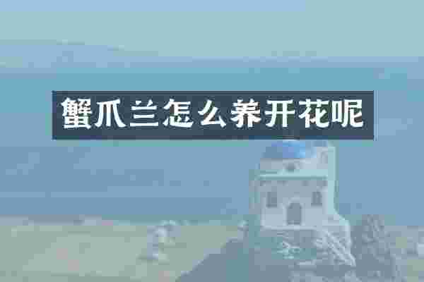 蟹爪兰怎么养开花呢