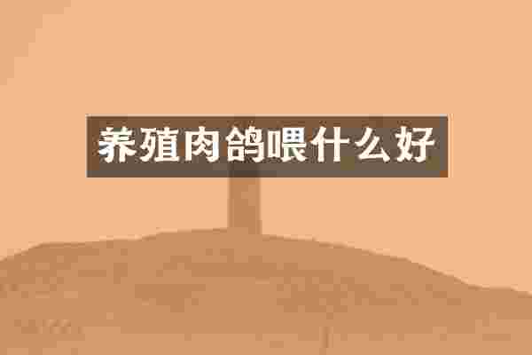 养殖肉鸽喂什么好