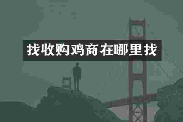 找收购鸡商在哪里找