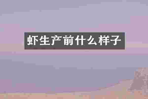 虾生产前什么样子