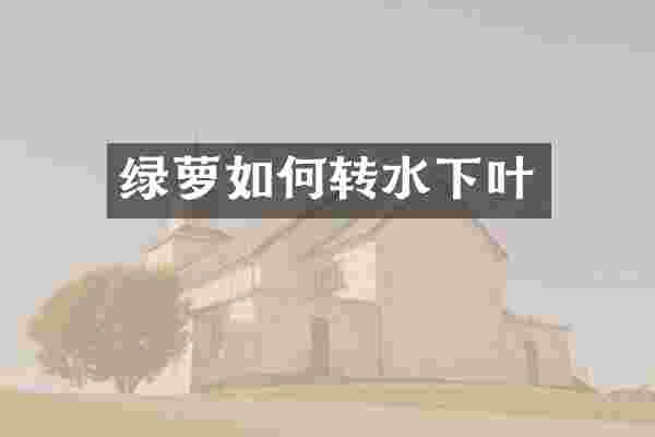 绿萝如何转水下叶
