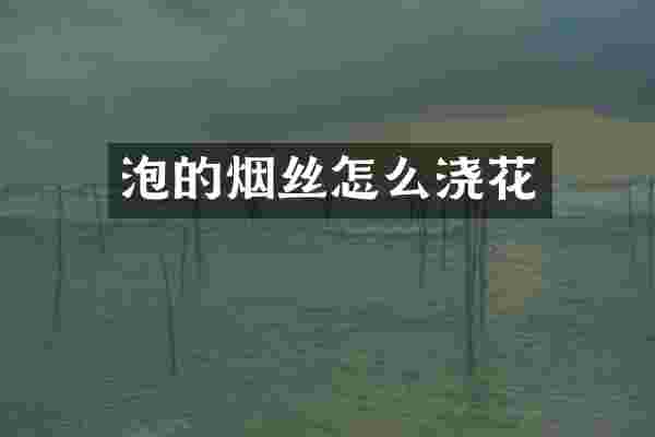 泡的烟丝怎么浇花