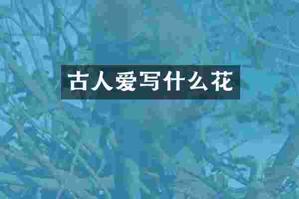 古人爱写什么花