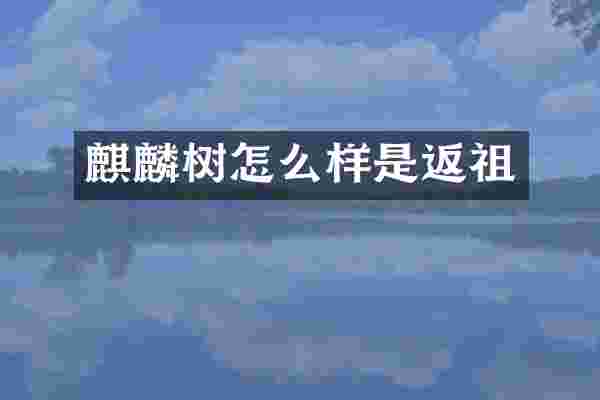 麒麟树怎么样是返祖