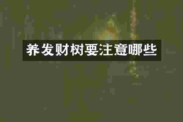 养发财树要注意哪些