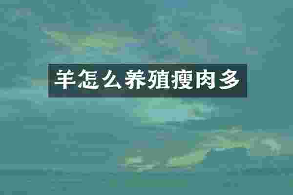 羊怎么养殖瘦肉多