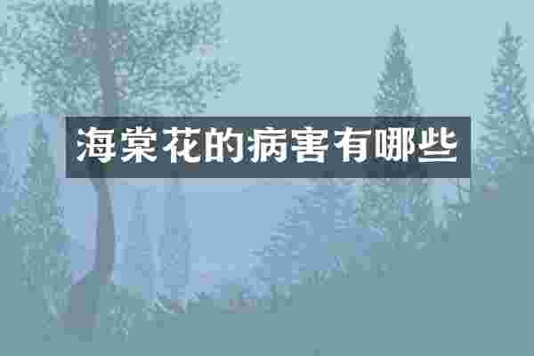 海棠花的病害有哪些