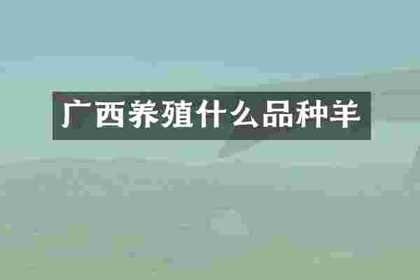 广西养殖什么品种羊
