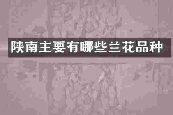 陕南主要有哪些兰花品种