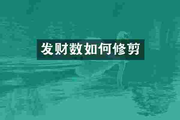 发财数如何修剪