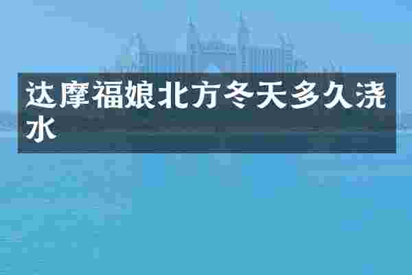 达摩福娘北方冬天多久浇水