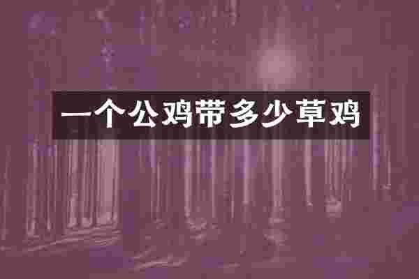 一个公鸡带多少草鸡