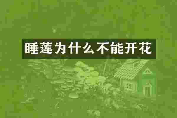睡莲为什么不能开花