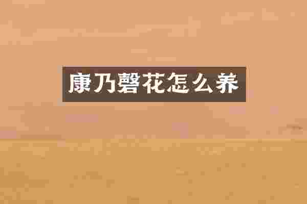 康乃磬花怎么养