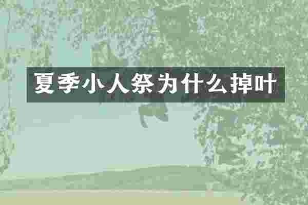 夏季小人祭为什么掉叶