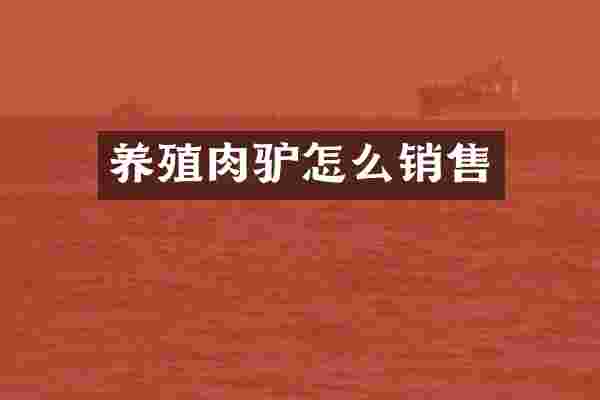 养殖肉驴怎么销售