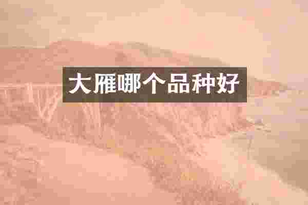 大雁哪个品种好