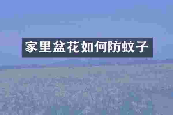 家里盆花如何防蚊子