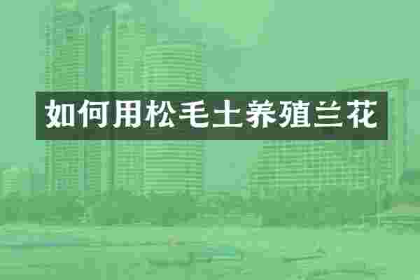 如何用松毛土养殖兰花