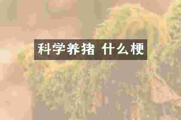 科学养猪 什么梗