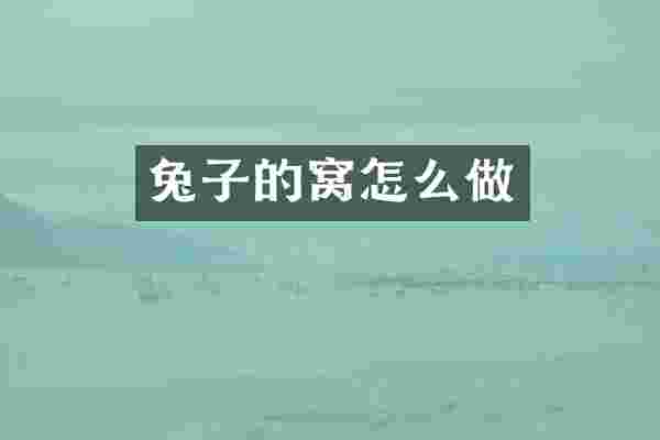 兔子的窝怎么做