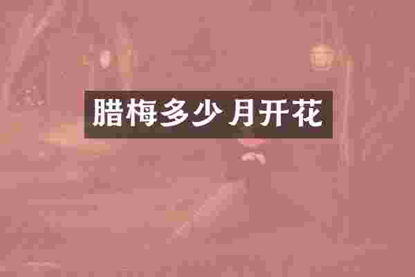 腊梅多少月开花