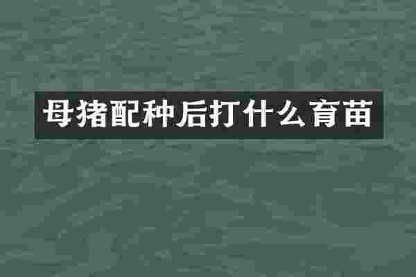 母猪配种后打什么育苗