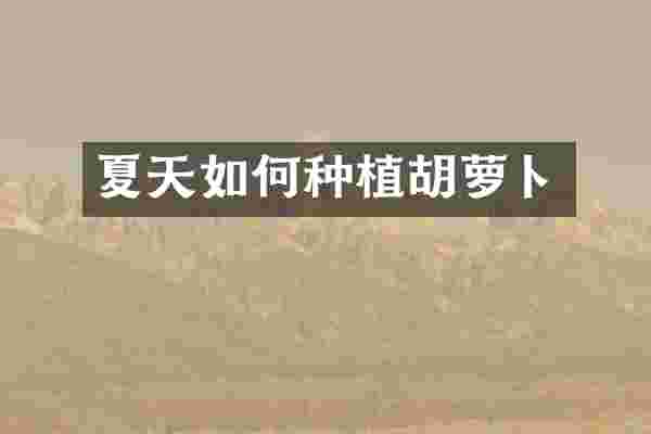 夏天如何种植胡萝卜