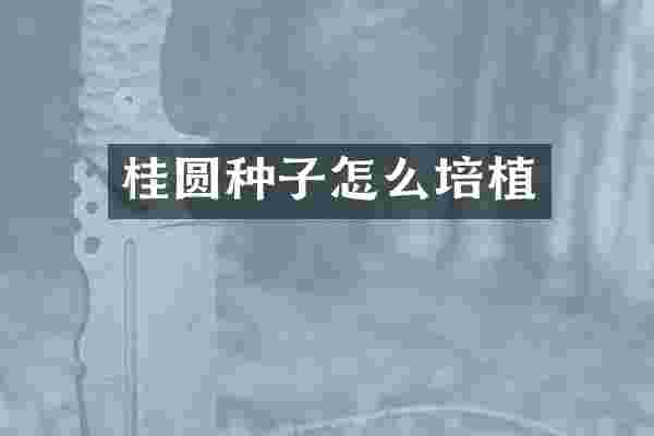 桂圆种子怎么培植