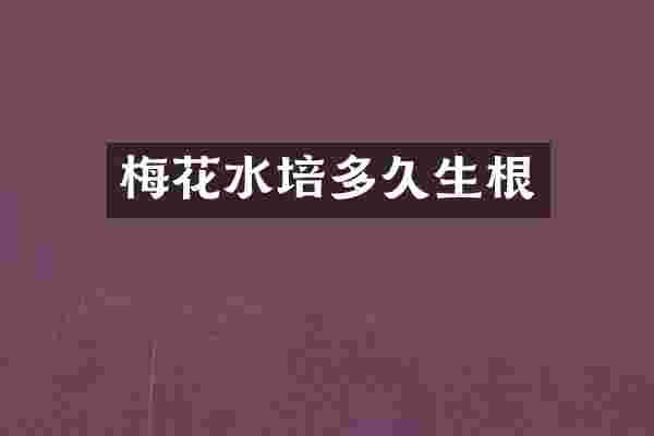 梅花水培多久生根