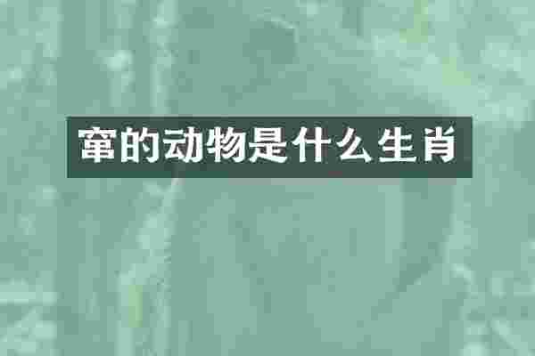 窜的动物是什么生肖