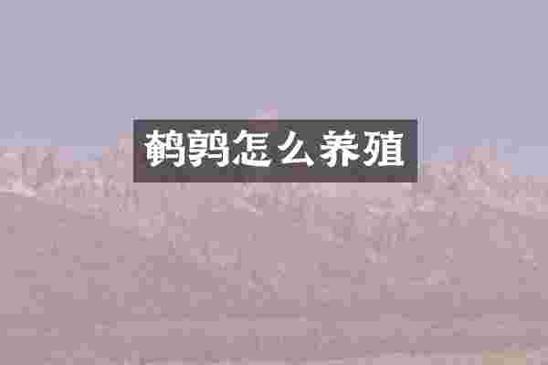 鹌鹑怎么养殖