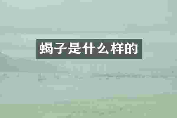 蝎子是什么样的