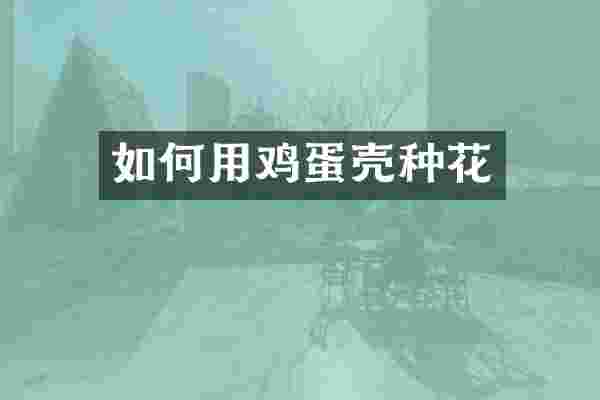如何用鸡蛋壳种花